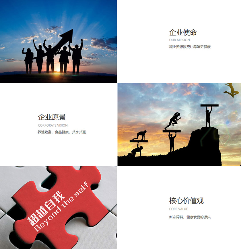 企業(yè)文化(圖1) 企業(yè)文化(圖1)